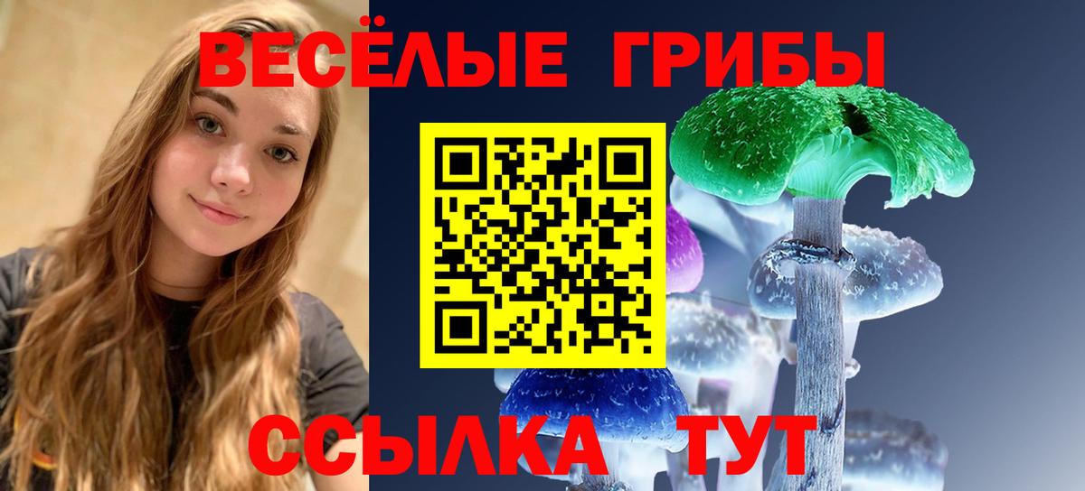 Новосибирск  Псилоцибиновые грибы мицелий  Вход с VPN 