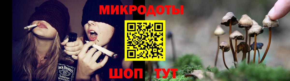 Псилоцибиновые грибы Psilocybine cubensis Новосибирск