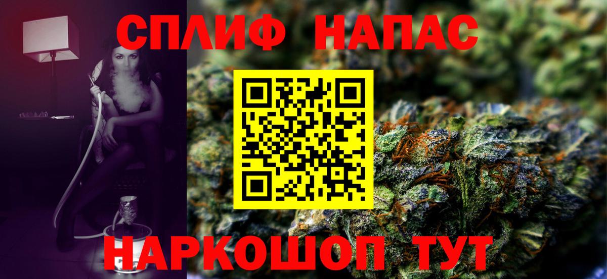 Конопля сатива Новосибирск